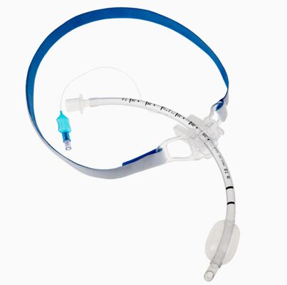 Un buen precio. Disposable EOS Disinfecting Endotracheal Tube Holder with Ethylene Oxide Sterilization for Medical Treatment en línea